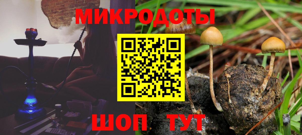 Галлюциногенные грибы Psilocybine cubensis Алушта