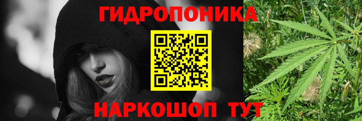 Каннабис OG Kush  Шишки марихуана индика  Вход с VPN  Канабис Amnesia  Шишки марихуана планчик  Алушта 